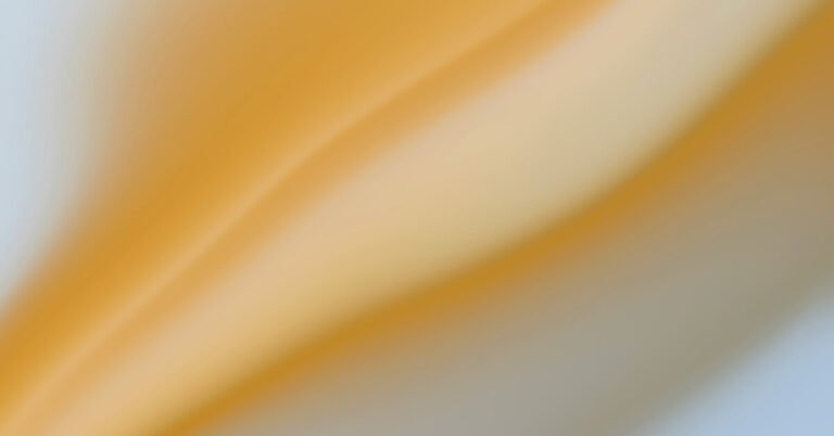 U brengt ons samen - viering (18 augustus 2024)