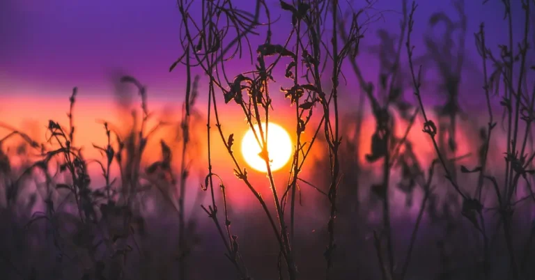 Duisternis en licht - Een tijd van hoop (Tweede Advent)
