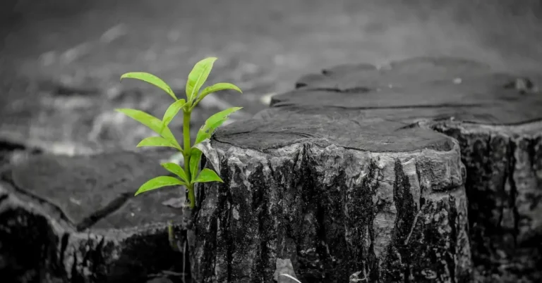 Advent – Ruimte voor het onverwachte