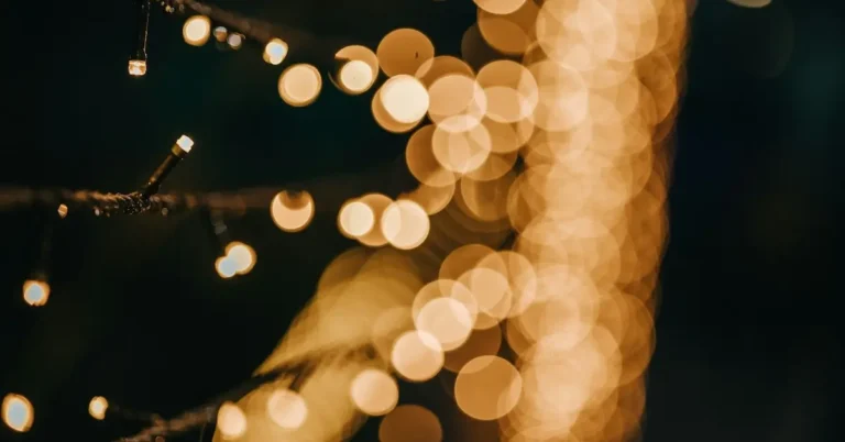 Kerstnachtdienst 2025 - Op zoek naar vreugde